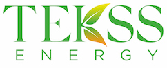TEKSS logo